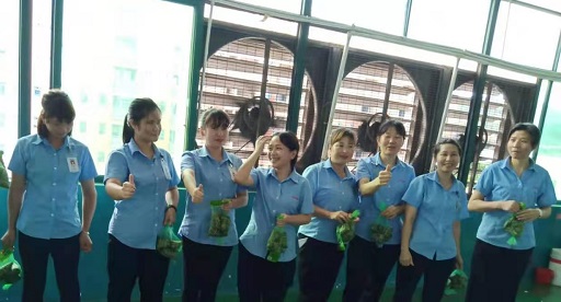 快猫成人网站新能源鋰快猫官网下载廠家,向組裝pack生產線發放端午福利